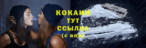молекула духа Бородино