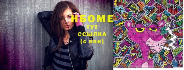 молекула духа Бородино