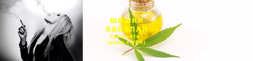 молекула духа Бородино