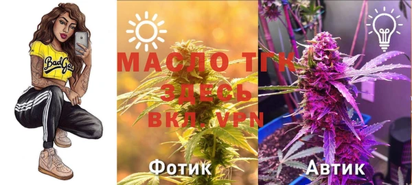 молекула духа Бородино