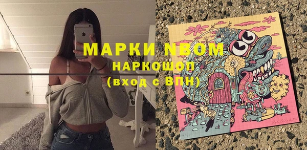 бошки Бронницы