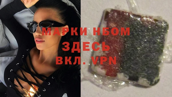 бошки Бронницы