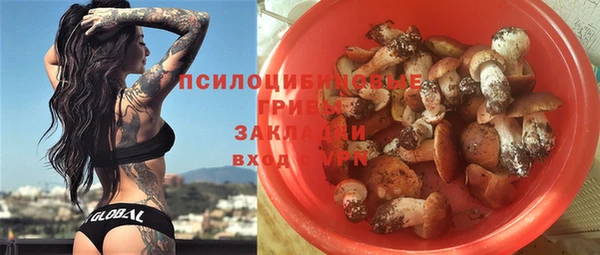 молекула духа Бородино