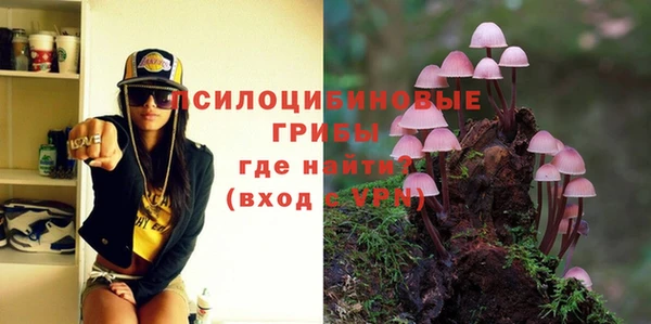 ГАЛЛЮЦИНОГЕННЫЕ ГРИБЫ Бугульма