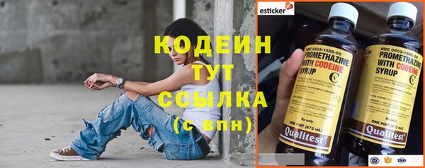 молекула духа Бородино
