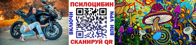 как найти закладки  Кирс  мега ONION  Псилоцибиновые грибы GOLDEN TEACHER 