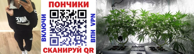 МАРИХУАНА LSD WEED  магазин продажи наркотиков  Кирс 